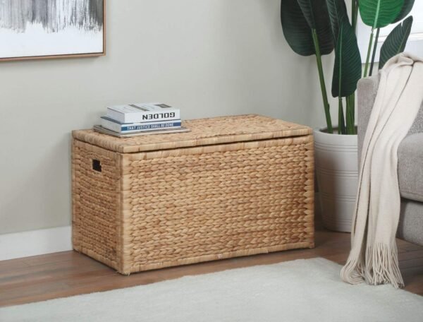 Water Hyacinth Wicker Storage Trunk with Metal Frame - Image 2